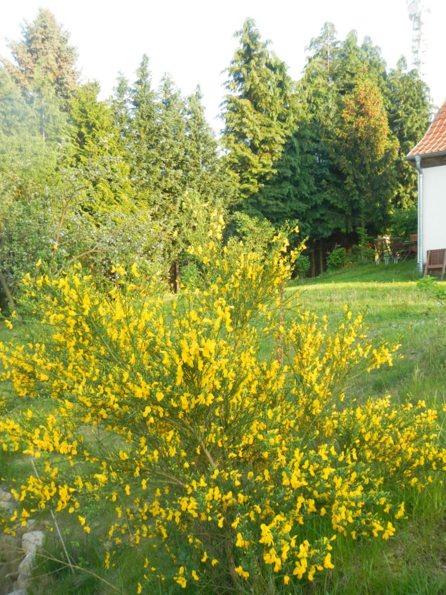 Ferienlandhaus Zempow Екстер'єр фото