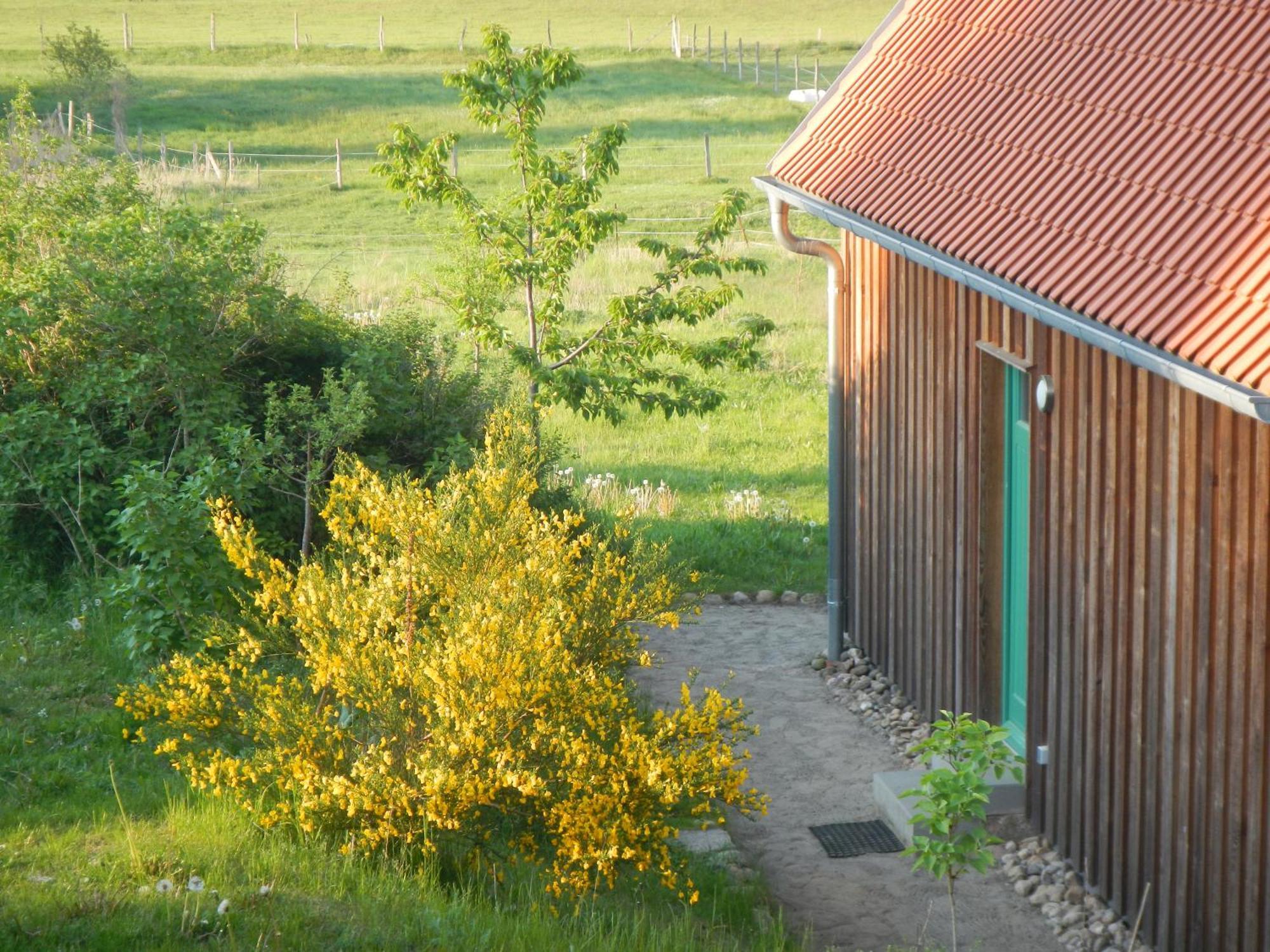 Ferienlandhaus Zempow Екстер'єр фото
